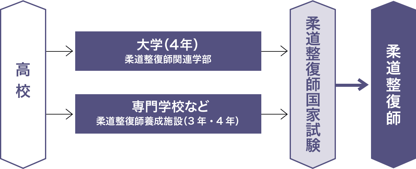 柔道整復師ってどんな仕事？